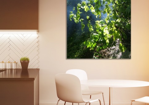 Tableaux personnalisés  Sous-bois