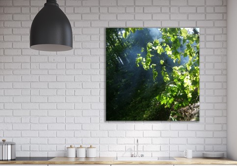 Tableaux personnalisés  Sous-bois