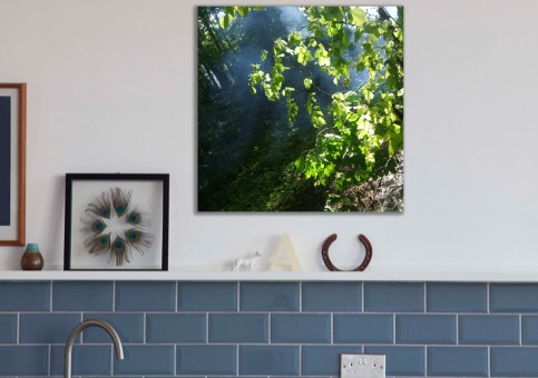 Tableaux personnalisés  Sous-bois
