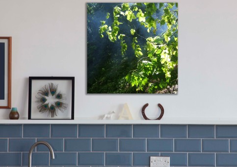 Tableaux personnalisés  Sous-bois