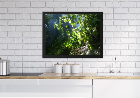 Tableaux personnalisés  Sous-bois