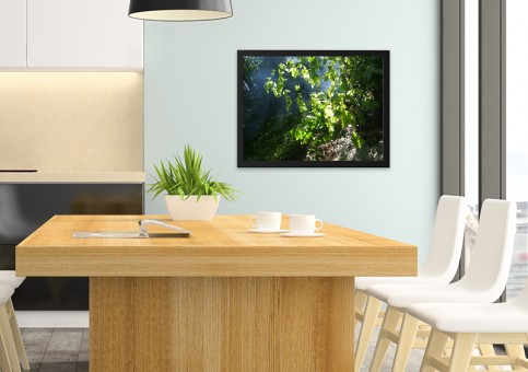 Tableaux personnalisés  Sous-bois