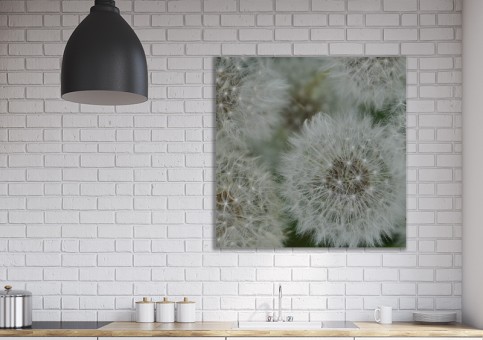 Tableaux personnalisés  Graines de pissenlit