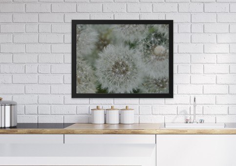 Tableaux personnalisés  Graines de pissenlit