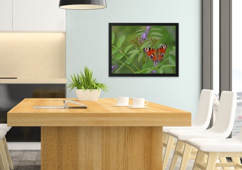 Tableaux personnalisés  Papillon