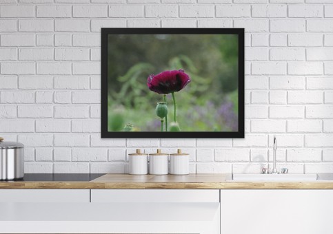Tableaux personnalisés  Pavot