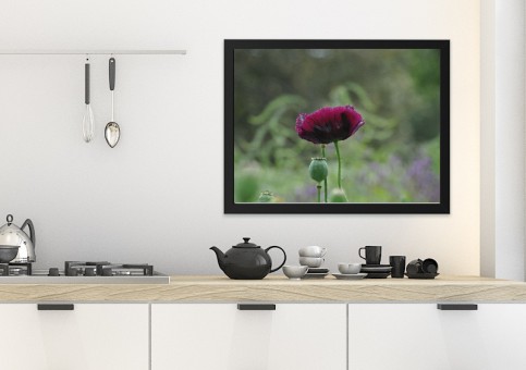 Tableaux personnalisés  Pavot