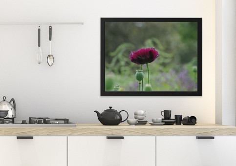 Tableaux personnalisés  Pavot