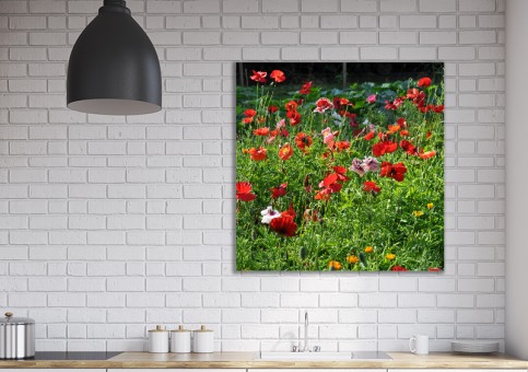 Tableaux personnalisés  Coquelicots