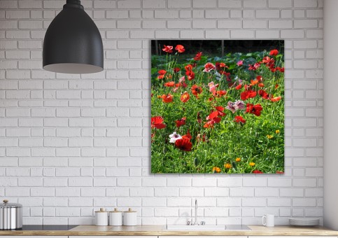 Tableaux personnalisés  Coquelicots