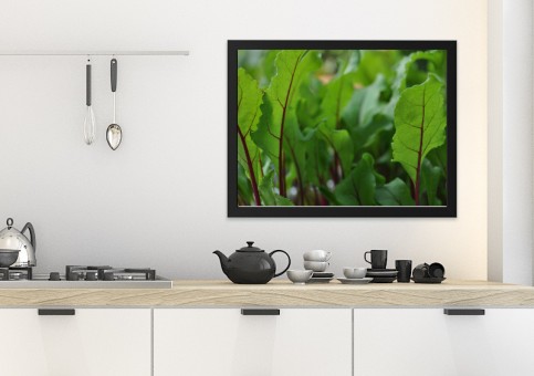 Tableaux personnalisés  Pousses de betterave