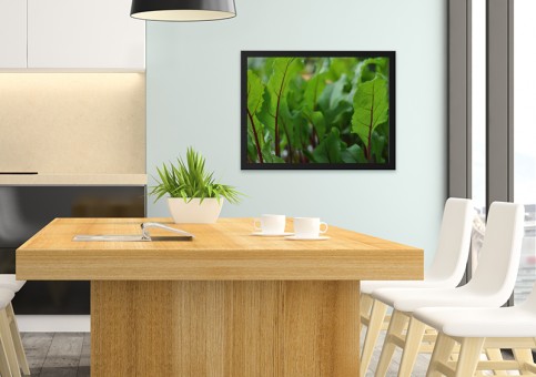 Tableaux personnalisés  Pousses de betterave