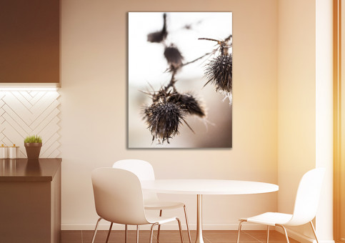 Tableaux personnalisés  Chardon