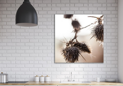 Tableaux personnalisés  Chardon