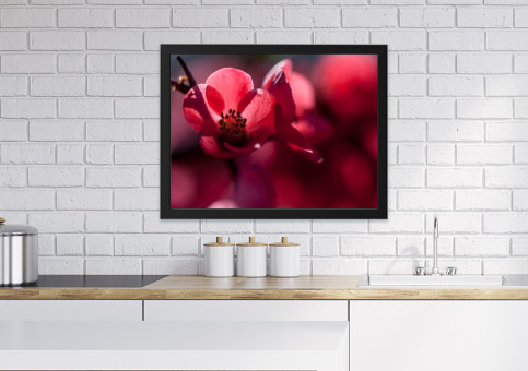 Tableaux personnalisés  Cognassier du Japon