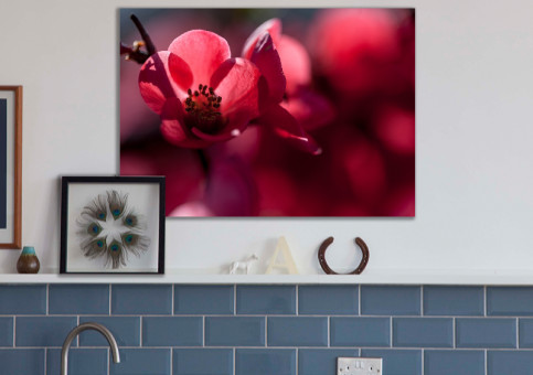 Tableaux personnalisés  Cognassier du Japon