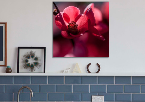 Tableaux personnalisés  Cognassier du Japon