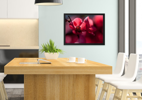 Tableaux personnalisés  Cognassier du Japon