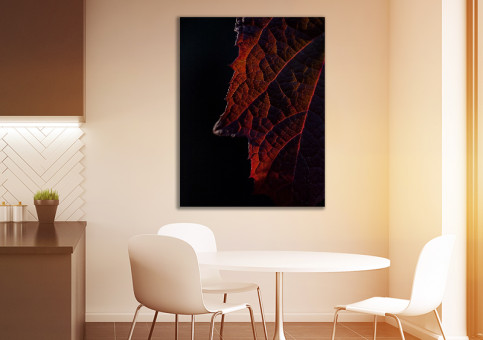Tableaux personnalisés  Feuille rouge sur fond noir