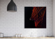 Tableaux personnalisés  Feuille rouge sur fond noir