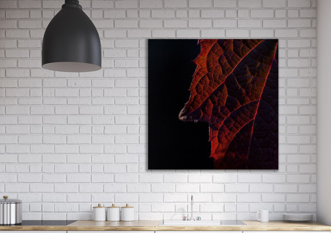 Tableaux personnalisés  Feuille rouge sur fond noir