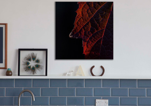 Tableaux personnalisés  Feuille rouge sur fond noir