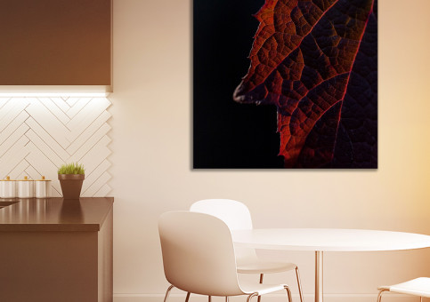 Tableaux personnalisés  Feuille rouge sur fond noir