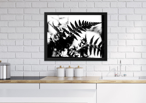 Tableaux personnalisés  Fougà¨re