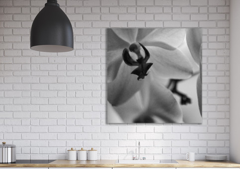 Tableaux personnalisés  Orchidée 1