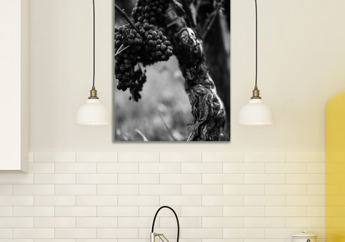 Tableaux personnalisés  Pied de vigne