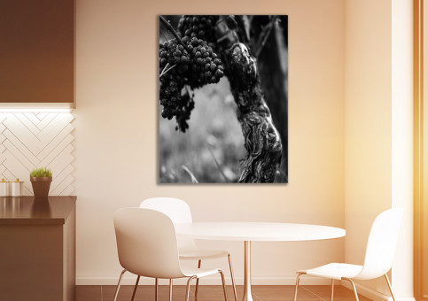 Tableaux personnalisés  Pied de vigne