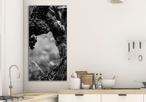 Tableaux personnalisés  Pied de vigne