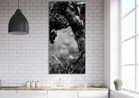 Tableaux personnalisés  Pied de vigne