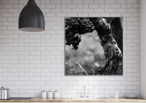 Tableaux personnalisés  Pied de vigne