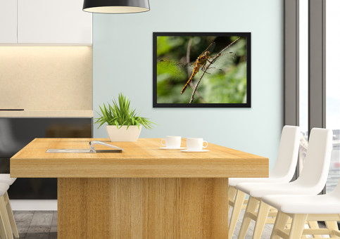 Tableaux personnalisés  Libellule