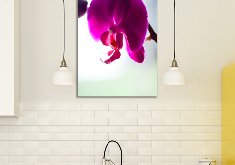 Tableaux personnalisés  Orchidée 2