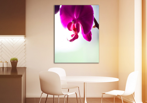 Tableaux personnalisés  Orchidée 2