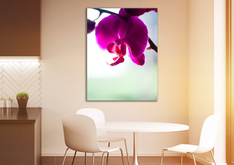 Tableaux personnalisés  Orchidée 2