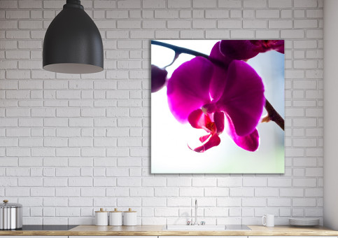 Tableaux personnalisés  Orchidée 2