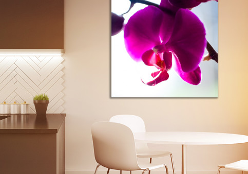 Tableaux personnalisés  Orchidée 2