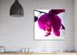 Tableaux personnalisés  Orchidée 2