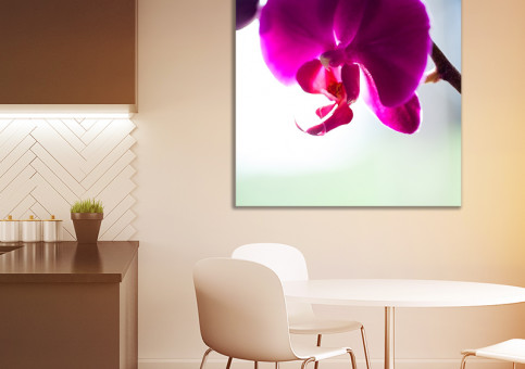 Tableaux personnalisés  Orchidée 2