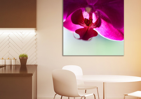 Tableaux personnalisés  Orchidée 3