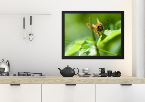 Tableaux personnalisés  Papillon Sylvaine 2