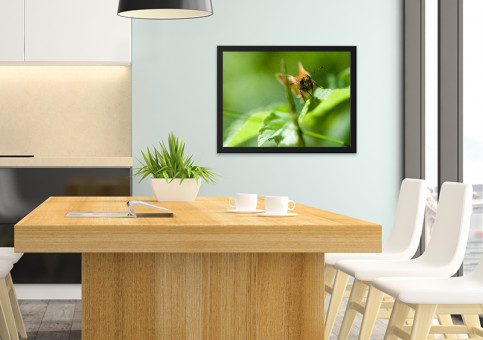 Tableaux personnalisés  Papillon Sylvaine 2