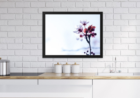 Tableaux personnalisés  Fleur de Prunus 1