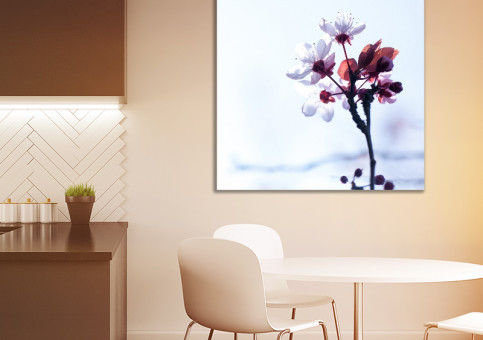 Tableaux personnalisés  Fleur de Prunus 1