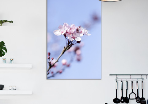 Tableaux personnalisés  Fleur de Prunus 2