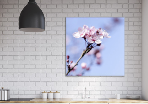 Tableaux personnalisés  Fleur de Prunus 2