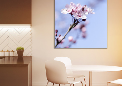 Tableaux personnalisés  Fleur de Prunus 2